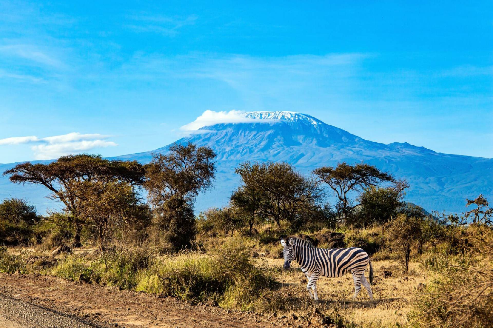 08-Days Kilimanjaro Lemosho Route