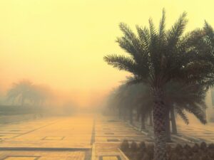 Sandstorms
